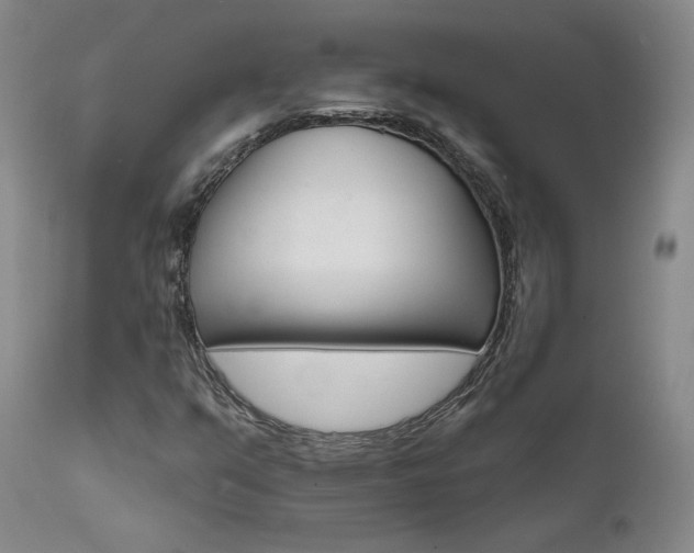 X0000111511351200907141326