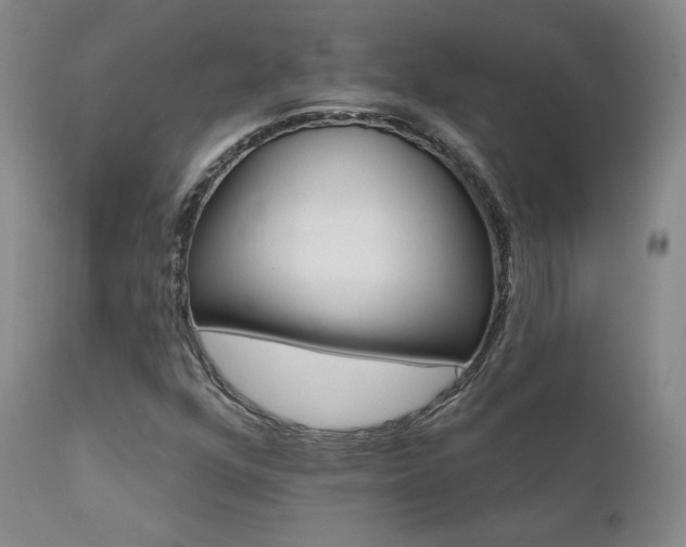 X0000111511352200907141326