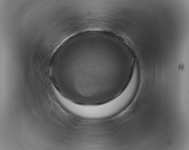 X0000111511353200907141326