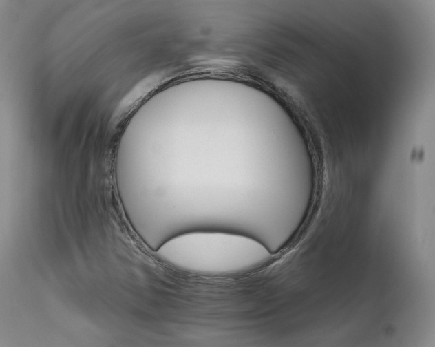 X0000111511354200907141326