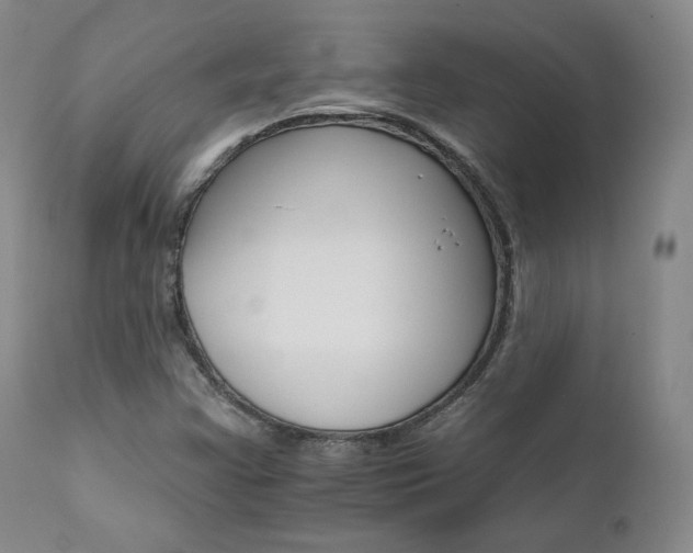X0000111511355200907141326