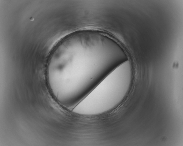 X0000111511356200907141326