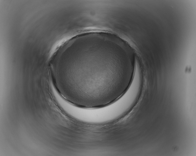 X0000111511357200907141326