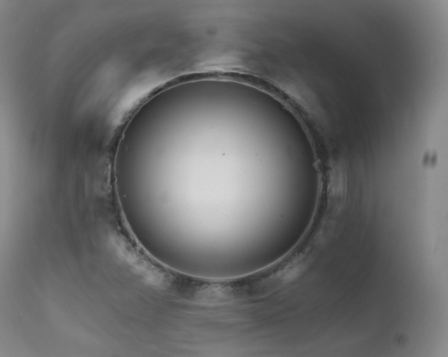 X0000111511358200907141326