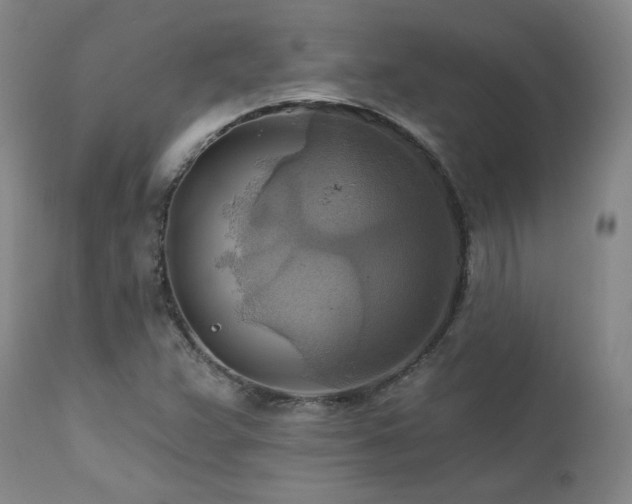 X0000111511359200907141326