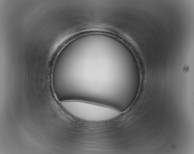 X0000111511360200907141326