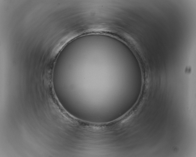 X0000111511361200907141326