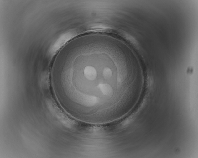 X0000111511362200907141326