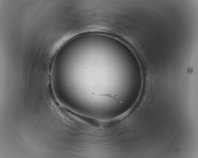 X0000111511363200907141326