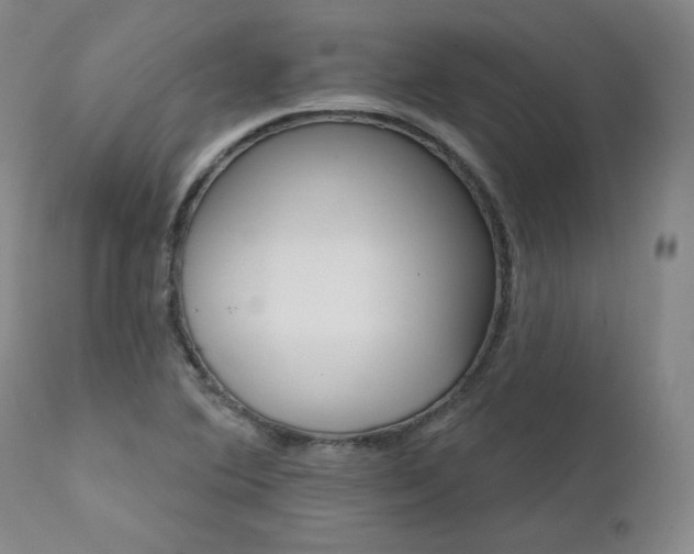 X0000111511364200907141326