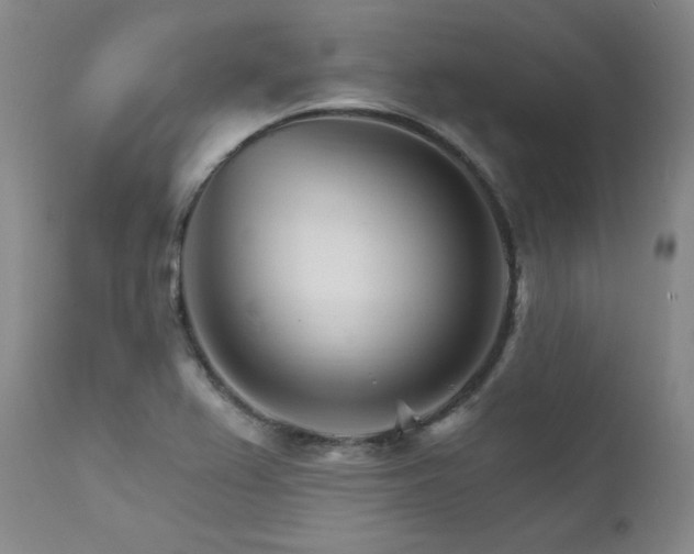 X0000111511367200907141326