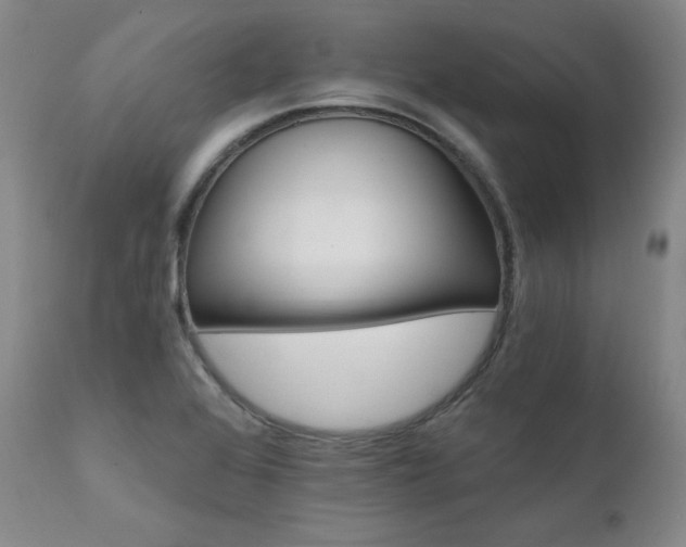 X0000111511368200907141326