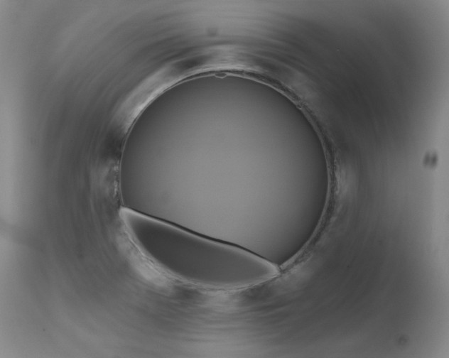 X0000111511369200907141326