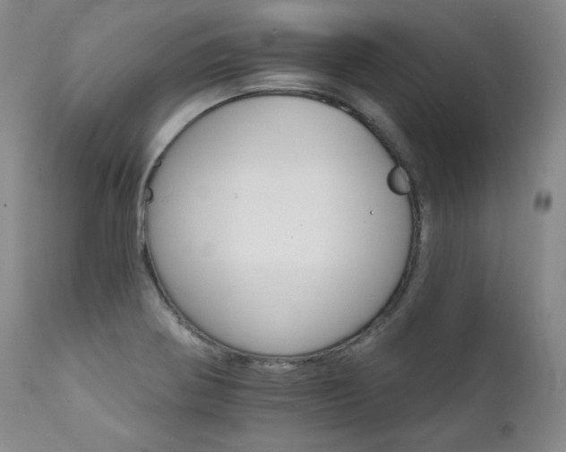 X0000111511370200907141326