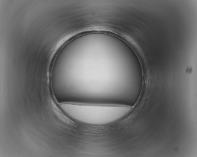 X0000111511372200907141326