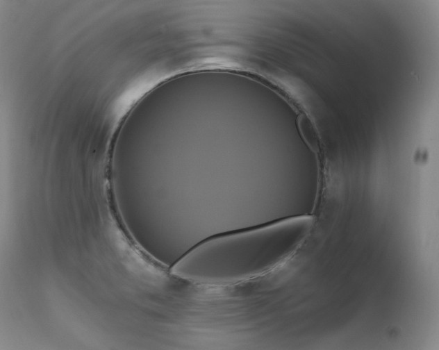X0000111511373200907141326