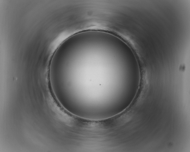 X0000111511375200907141326