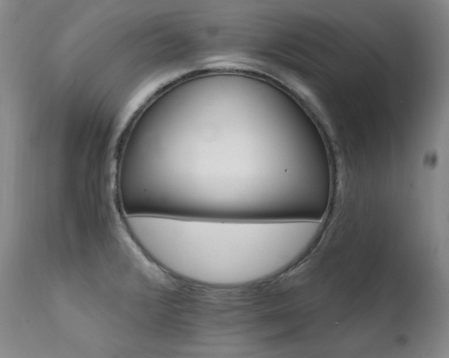 X0000111511376200907141326