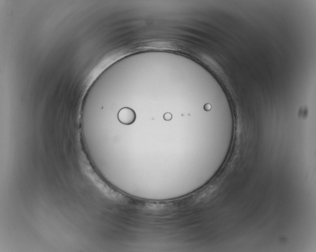 X0000111511378200907141326