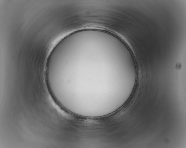 X0000111511379200907141326