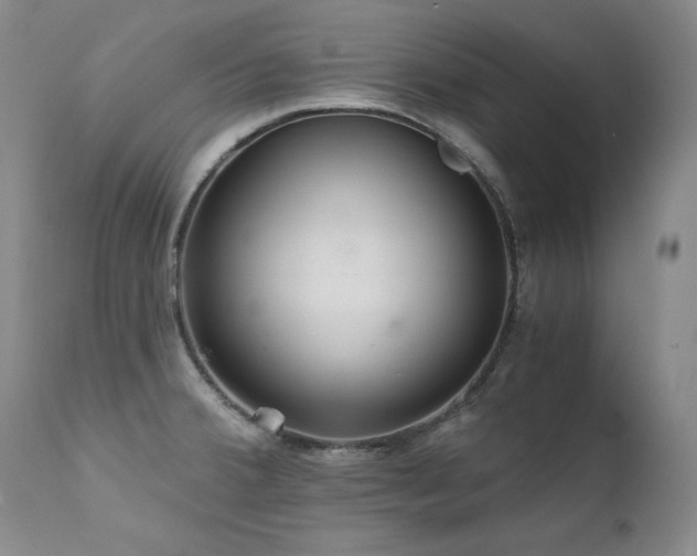 X0000111511380200907141326
