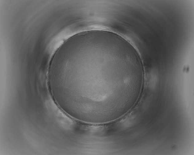 X0000111511381200907141325