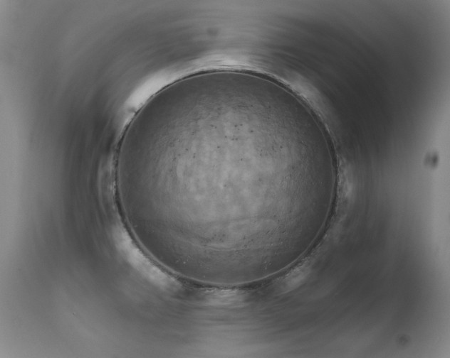 X0000111511382200907141325