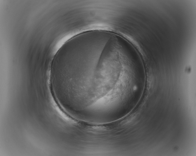 X0000111511383200907141325