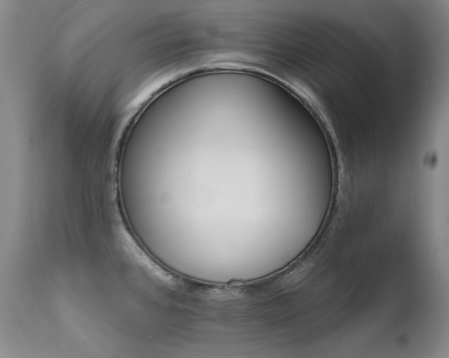 X0000111511384200907141325