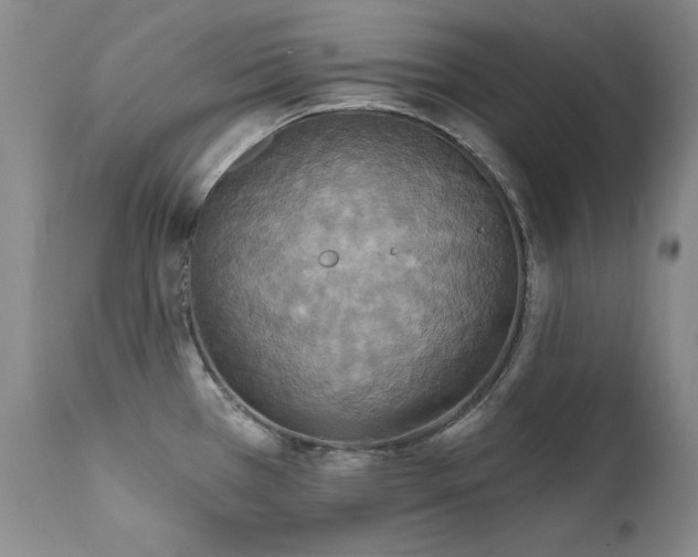 X0000111511385200907141325