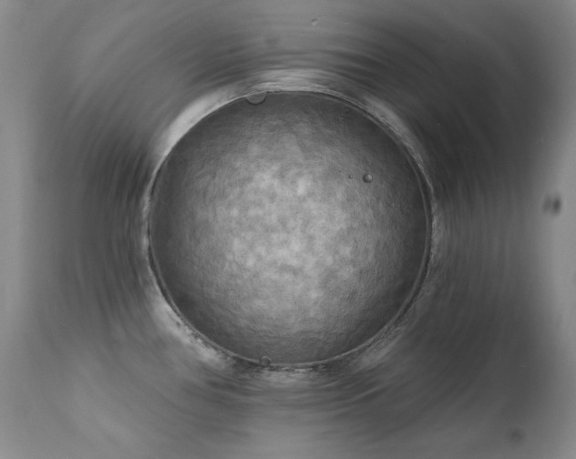 X0000111511386200907141325