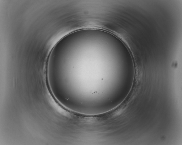 X0000111511387200907141325