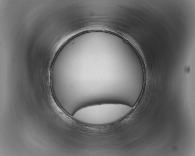 X0000111511388200907141325
