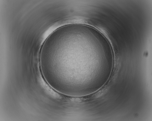 X0000111511389200907141325