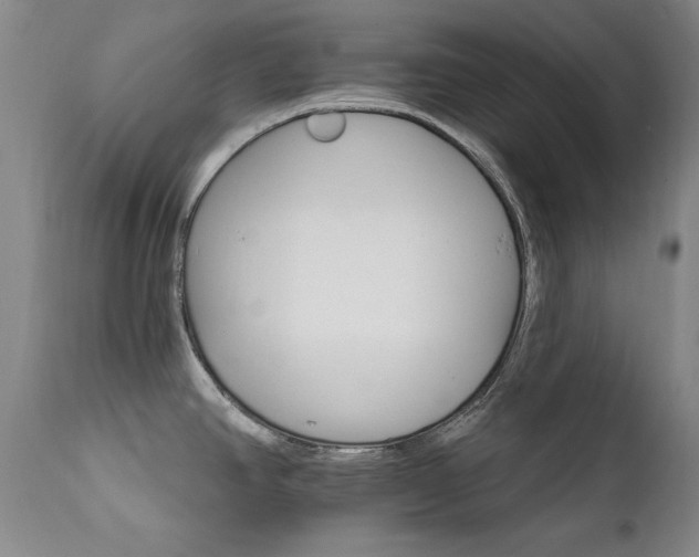 X0000111511390200907141325