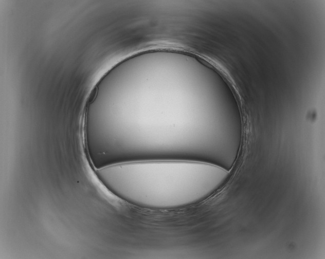 X0000111511391200907141325