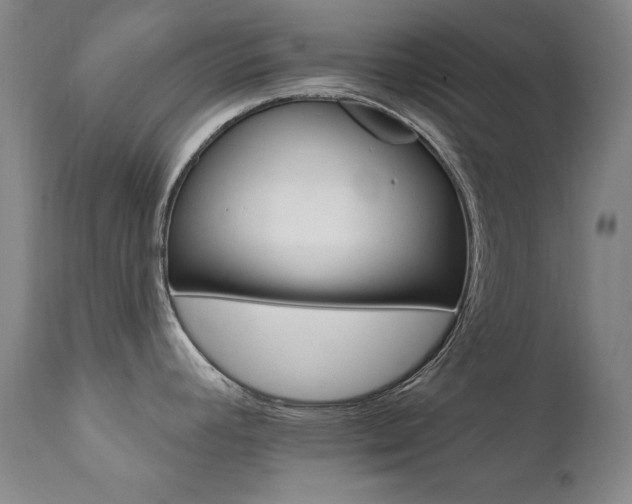 X0000111511392200907141325