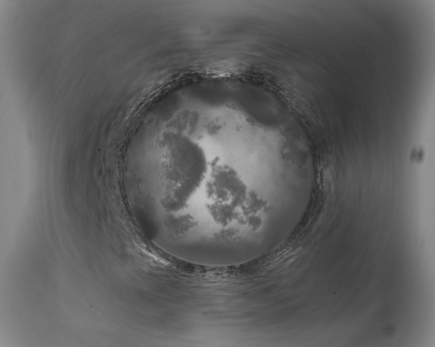 X0000111511393200907141325