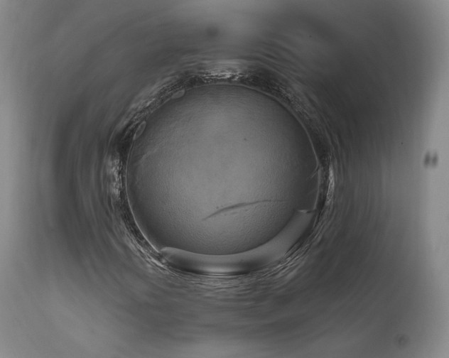 X0000111511394200907141325