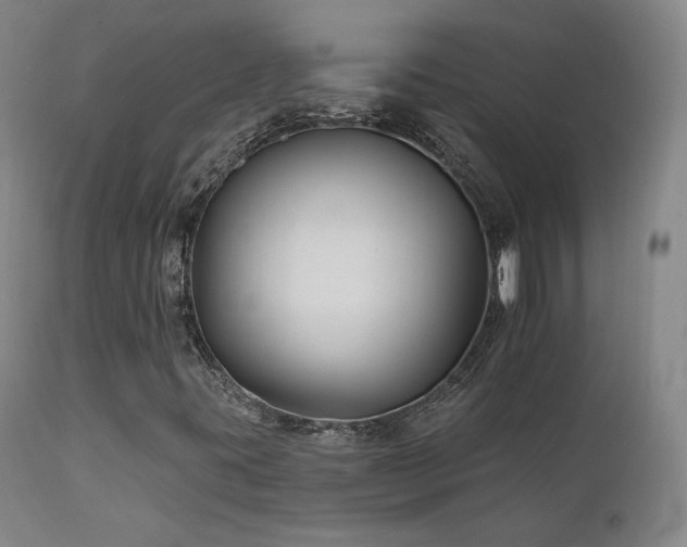 X0000111511395200907141325