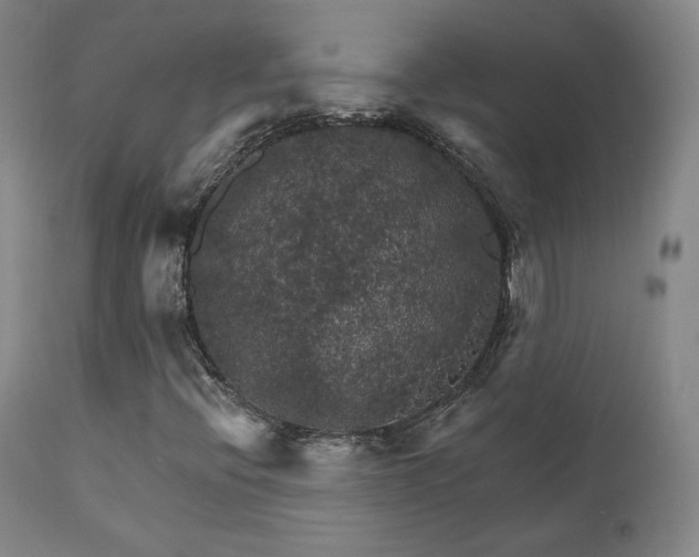 X0000111511396200907141325
