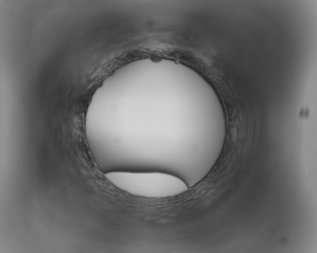 X0000111511397200907141325