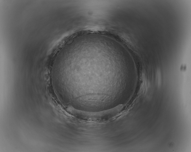 X0000111511398200907141325