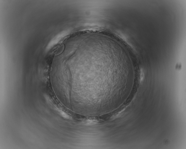 X0000111511399200907141325