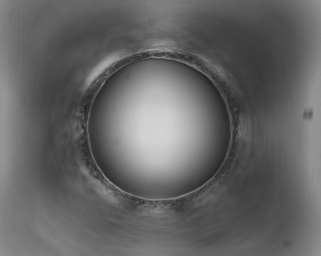 X0000111511400200907141325