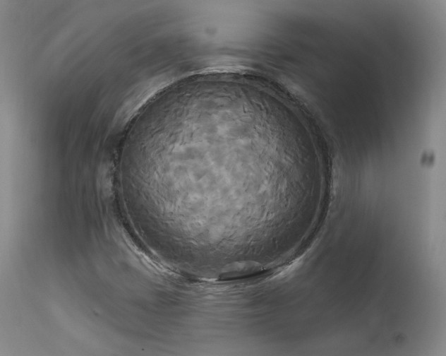 X0000111511401200907141325
