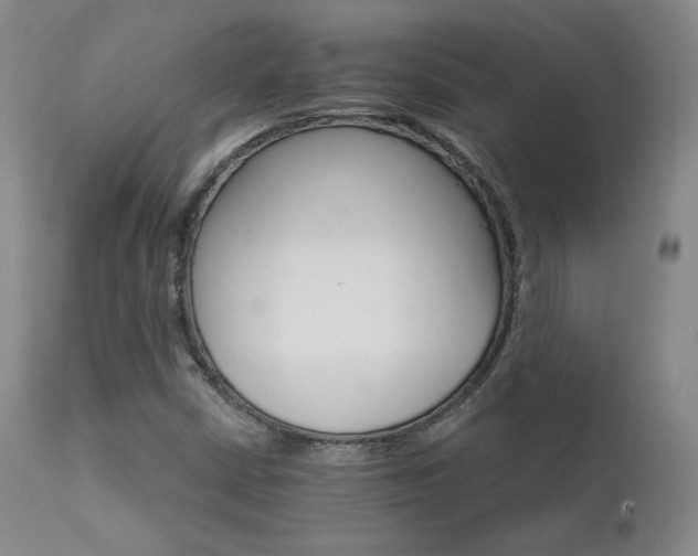 X0000111511402200907141325