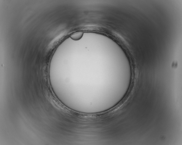 X0000111511403200907141325