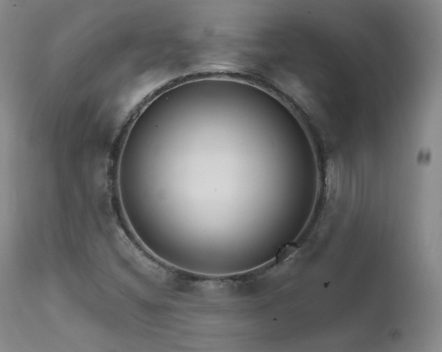 X0000111511404200907141325