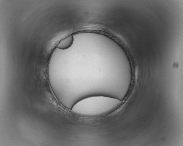 X0000111511405200907141325
